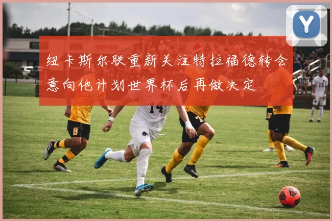 纽卡斯尔联重新关注特拉福德转会意向他计划世界杯后再做决定